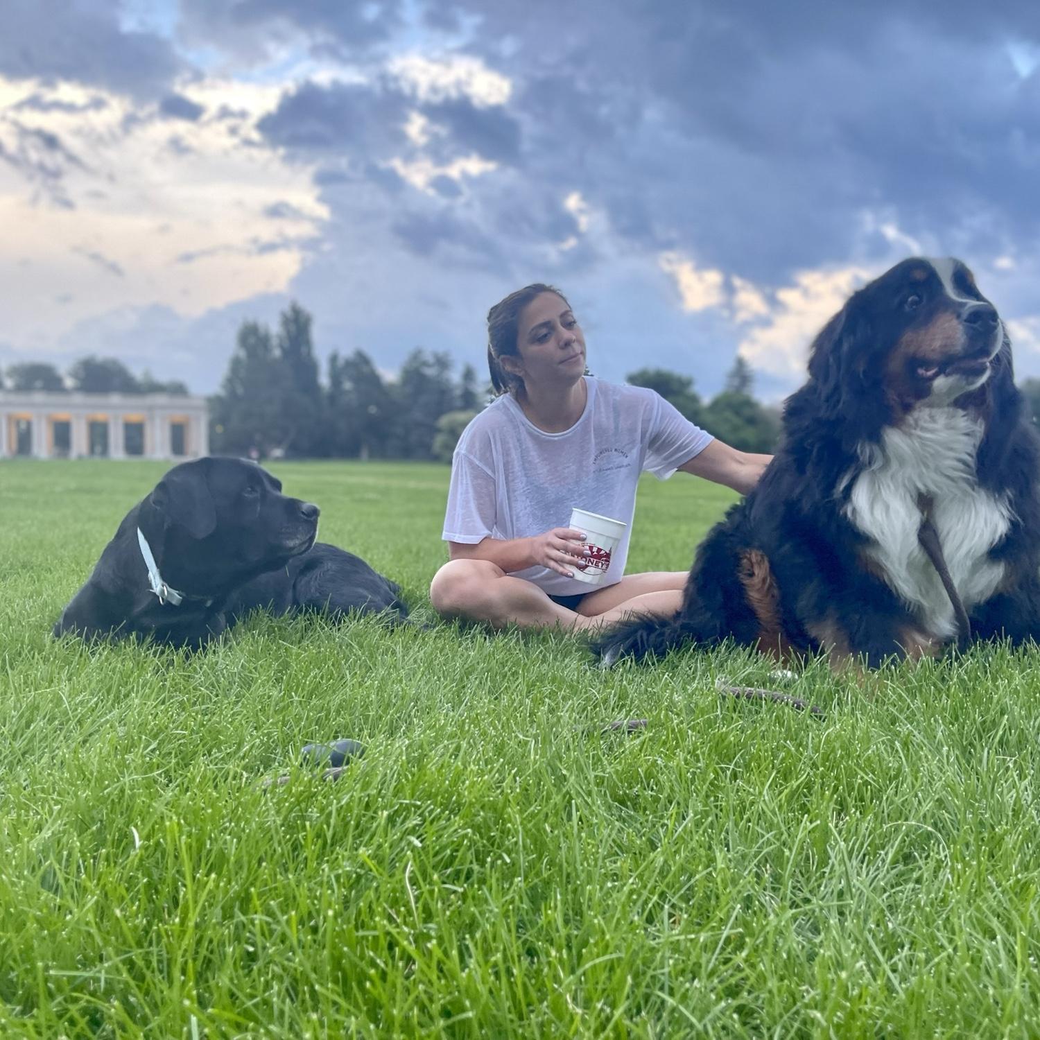 Summer solctice in Cheeseman Park