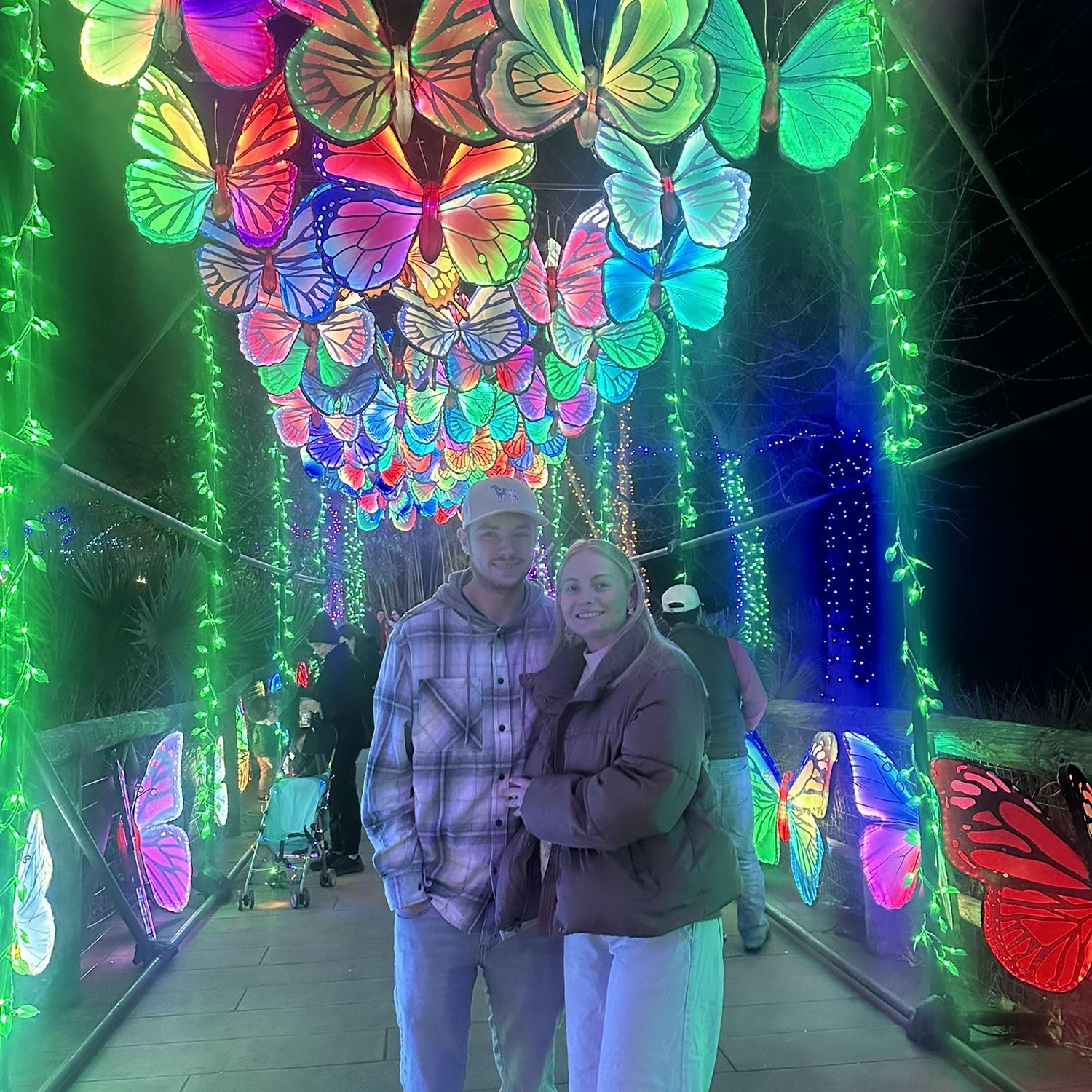 Christmas Lights - Dec. 13th, 2025