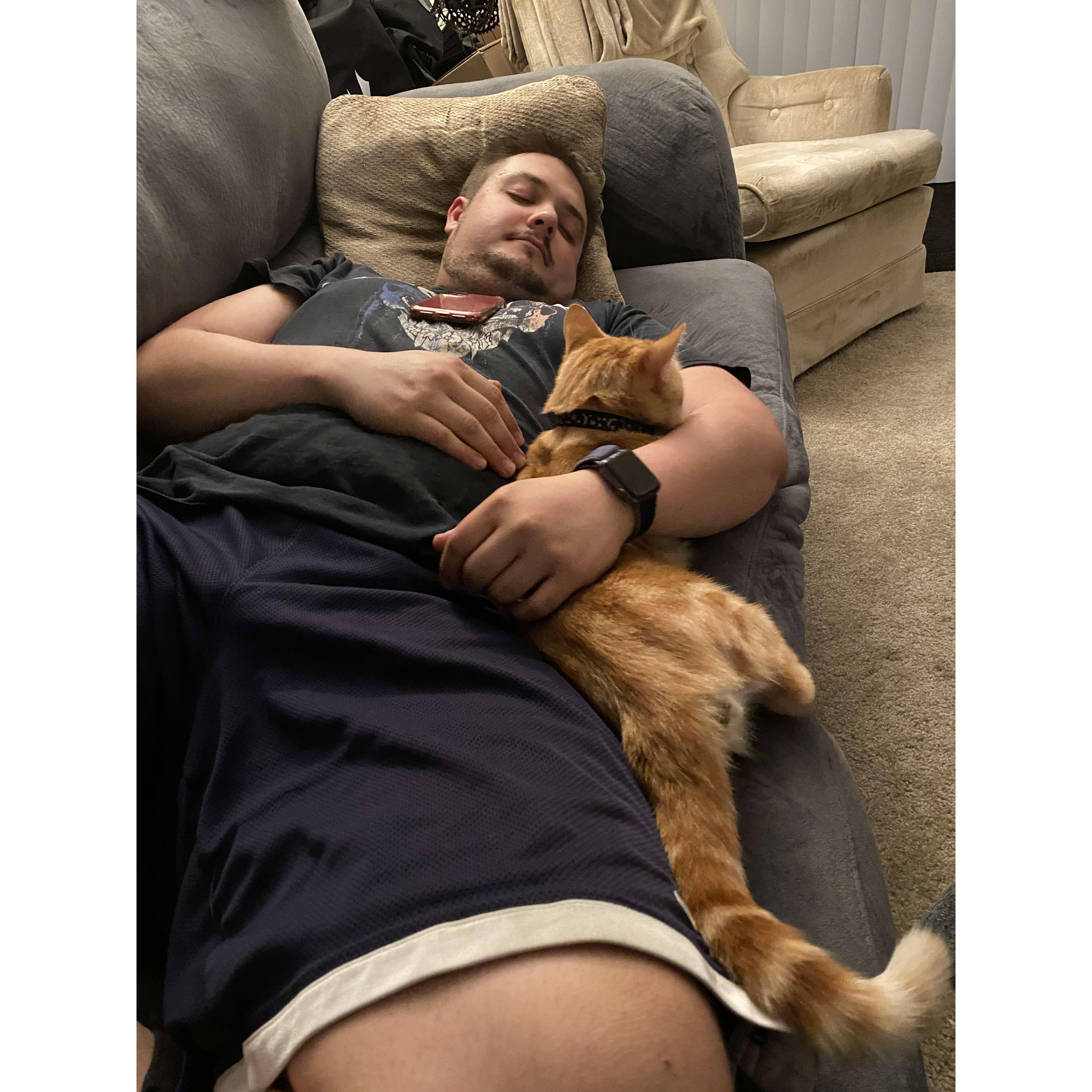 Sleepy Cat Dad