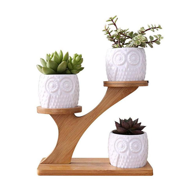 3pcs Owl Ceramic Succulent Pots with 3 Tier Bamboo Saucers Stand Holder, Ceramic Planter Flower Plant Pot with Drainage for Home Garden Decoration
