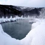 Chena Hot Springs Resort