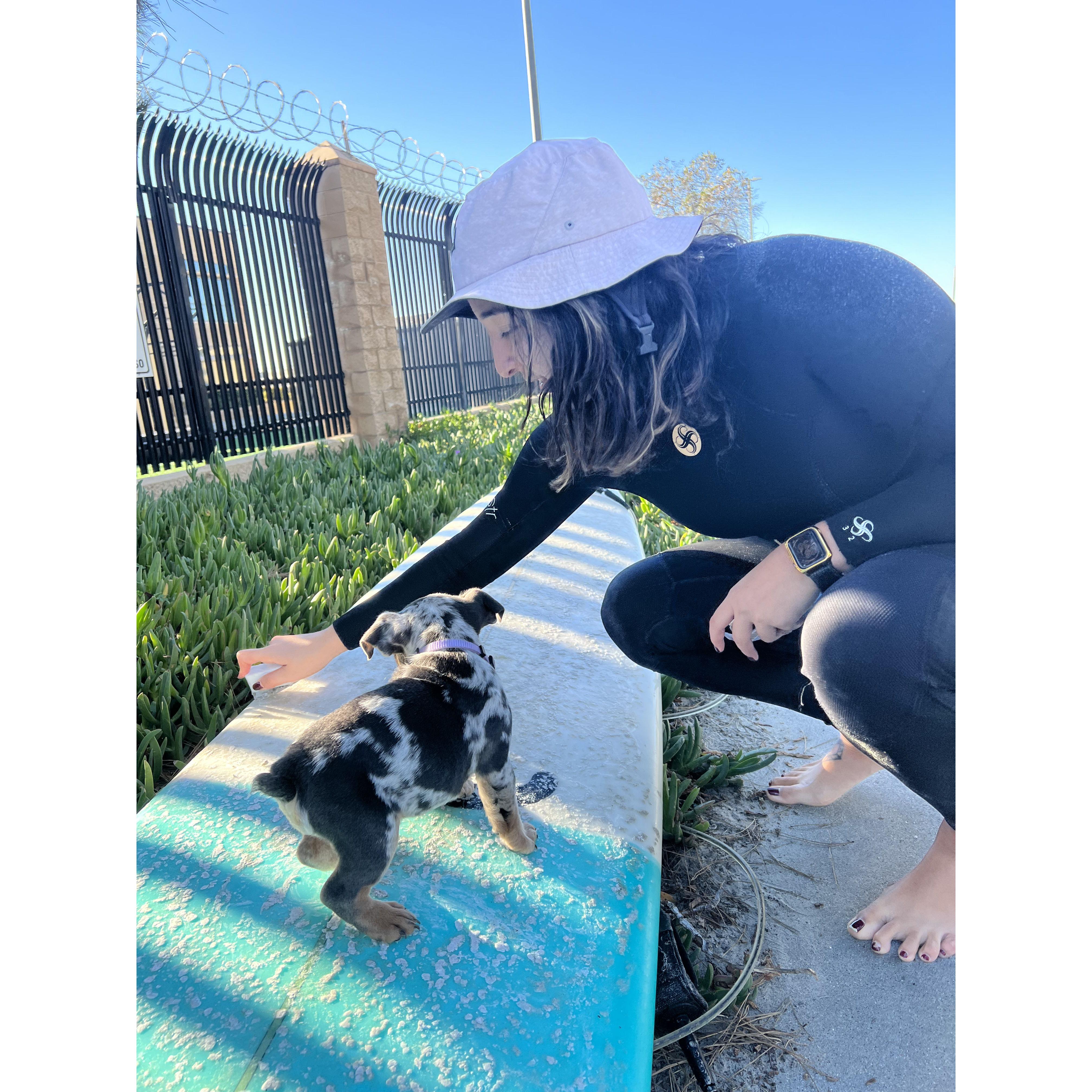 Honey's First Trip to the Beach