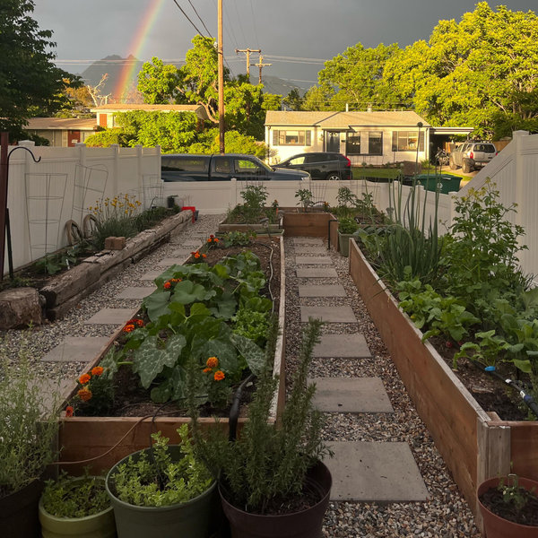 House, landscape, garden fund :)