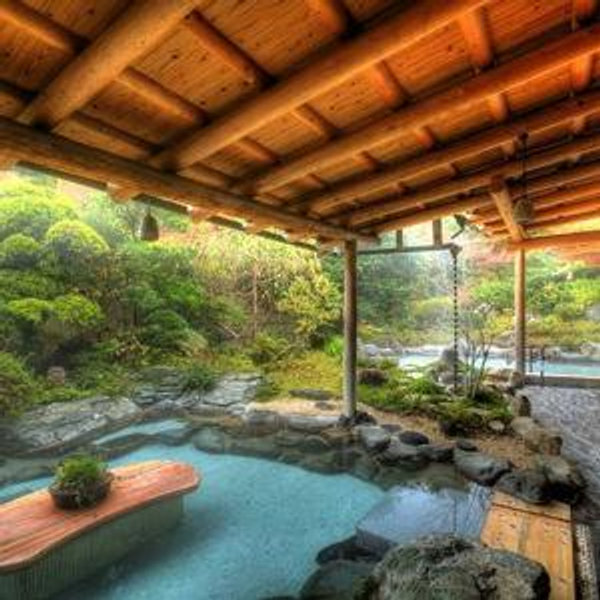 Night Stay in a Ryokan (Japanese Resort)!