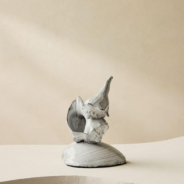 Solei Seashell Object