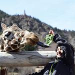 Cheyenne Mountain Zoo