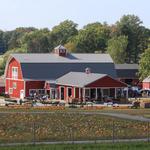 Wickham Farms