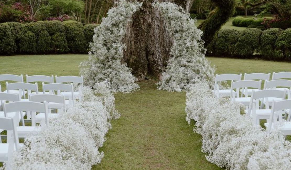 The Wedding Website of Anjelica Dantin and Ryne Chiasson