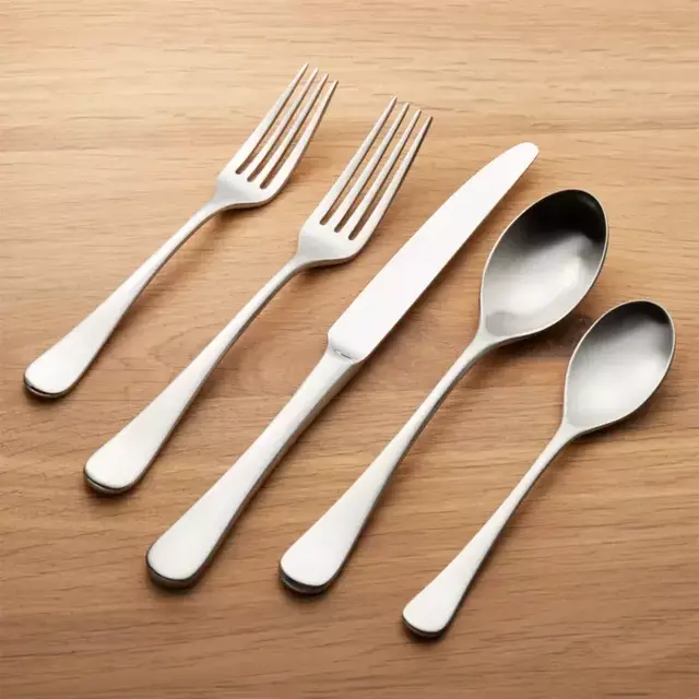 Caesna Satin 20-Piece Flatware Set in "Satin"