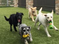 Nemacolin Wooflands Pet Resort & Spa