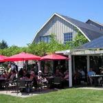 The County Cider Company - Tasting Room