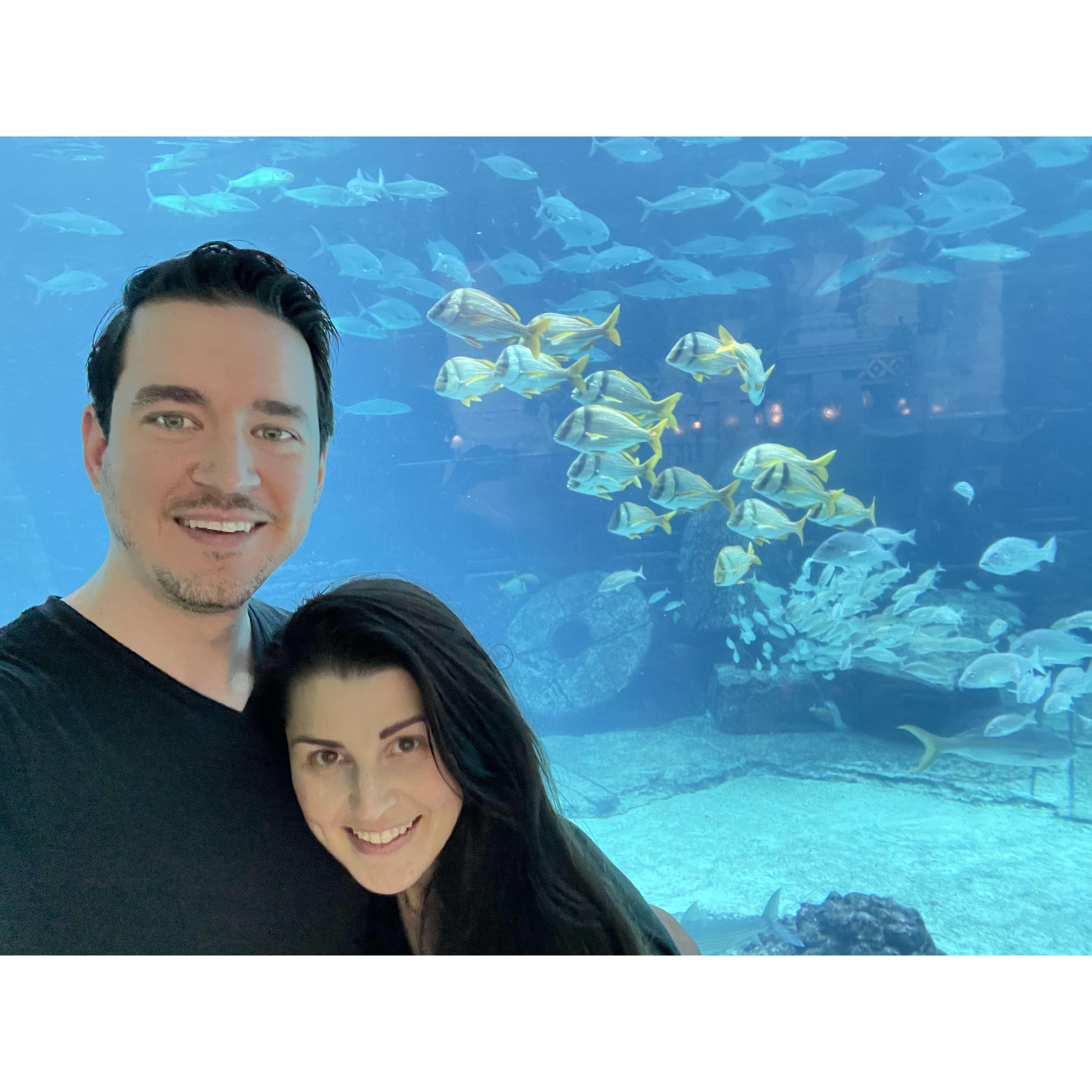 Honeymoon in the Bahamas