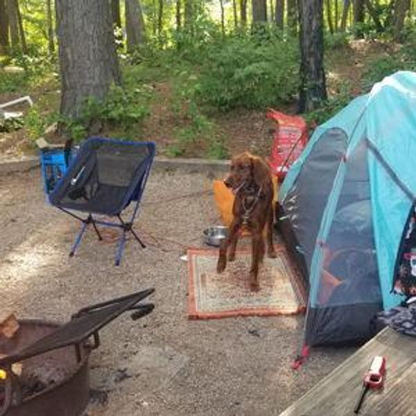 1 Night at a Campground
