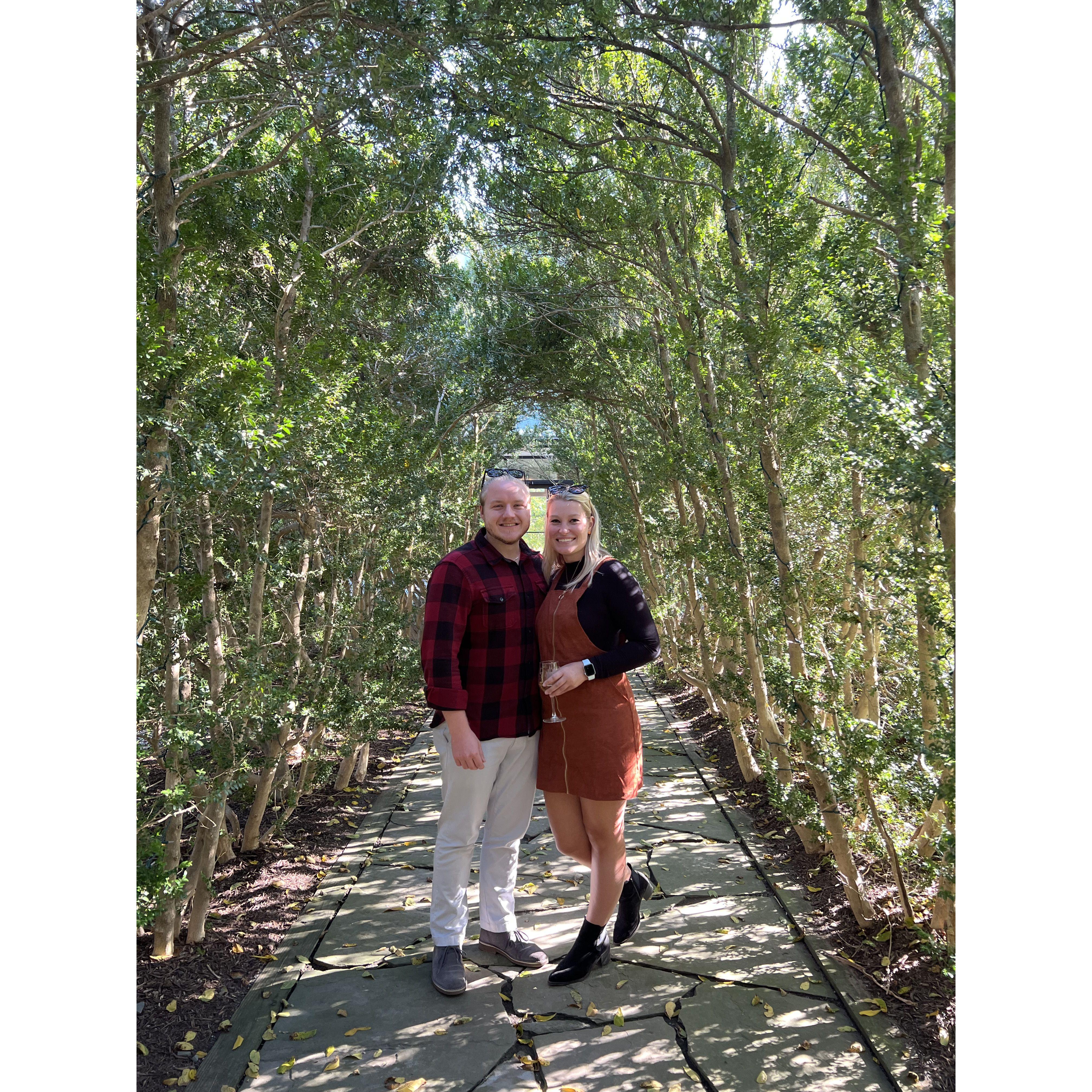 The "trial" picture to see if this is where Chris wanted to propose.