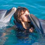 Dolphin Cove