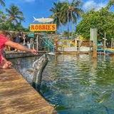 Robbie's of Islamorada