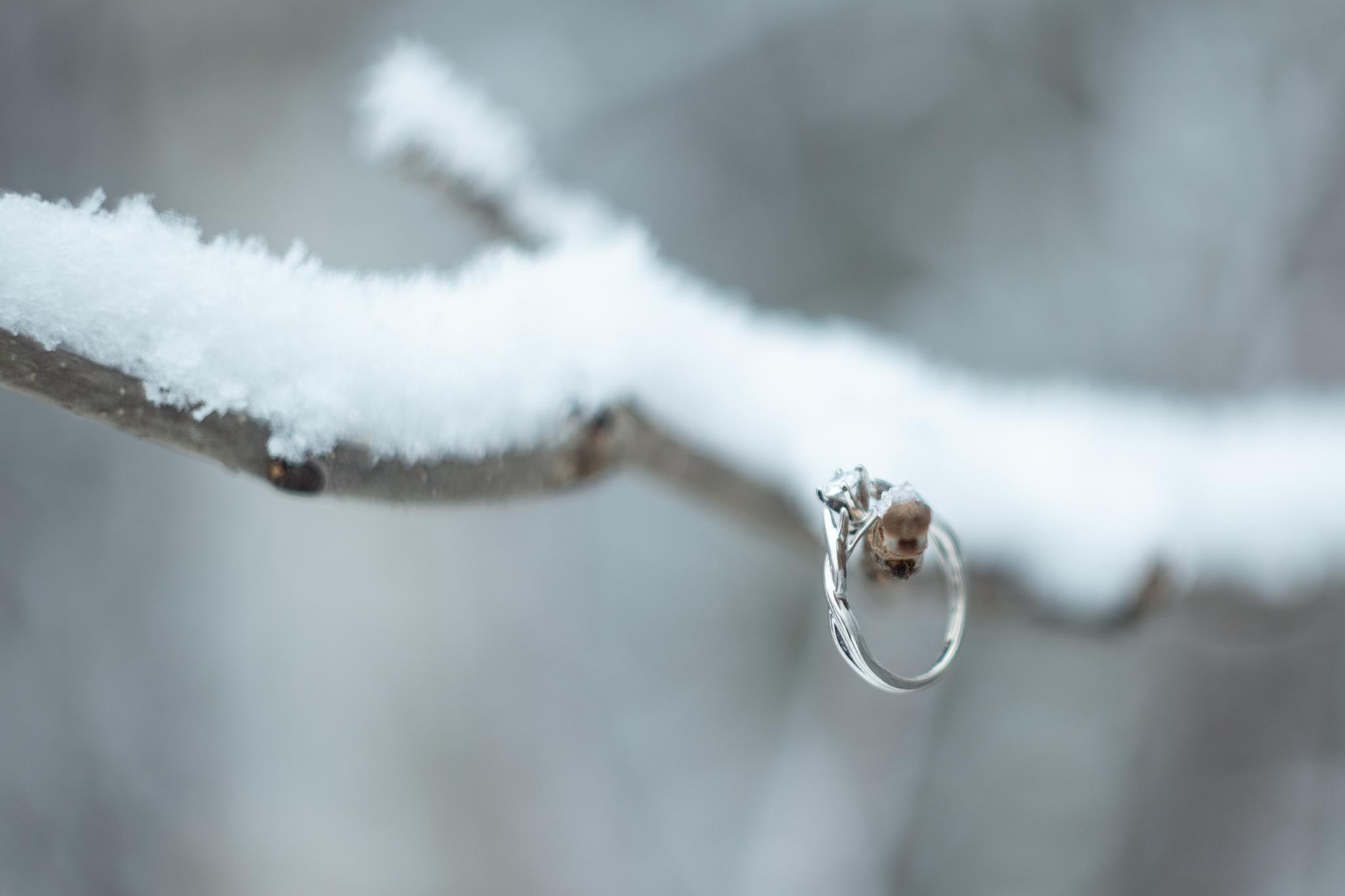 The Wedding Website of Rachel Titel and Nathan Enns