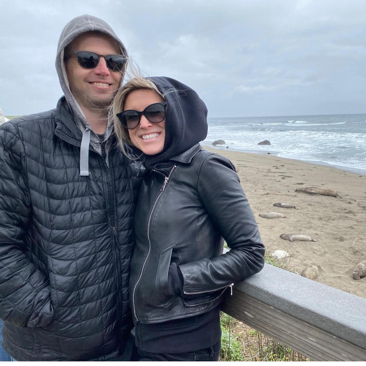 Chilly day Seal beach near Hearst Castle!