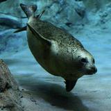 The Maritime Aquarium at Norwalk