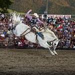 Livingston Roundup Rodeo
