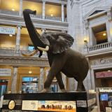 Smithsonian National Museum of Natural History