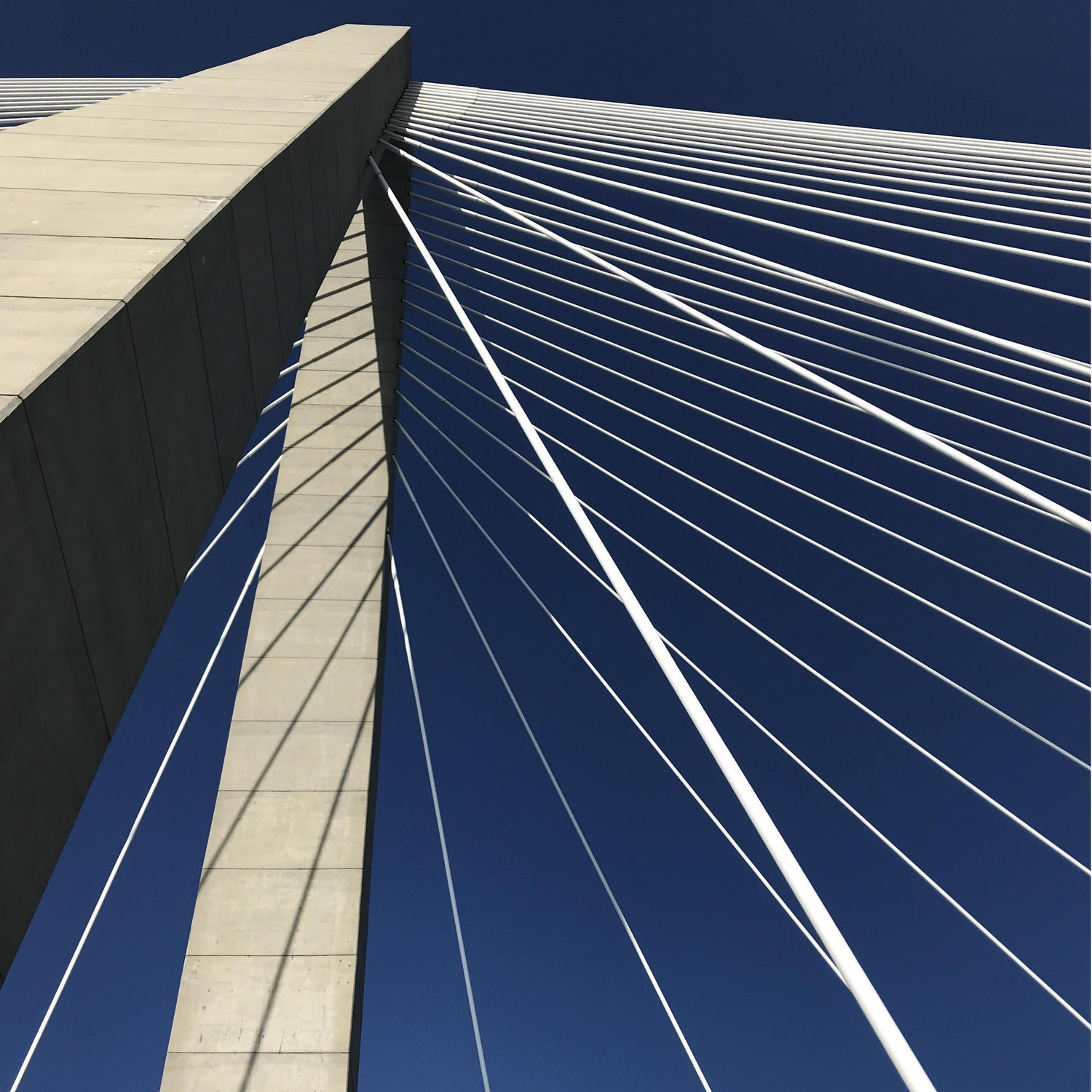 weekend bridge walks