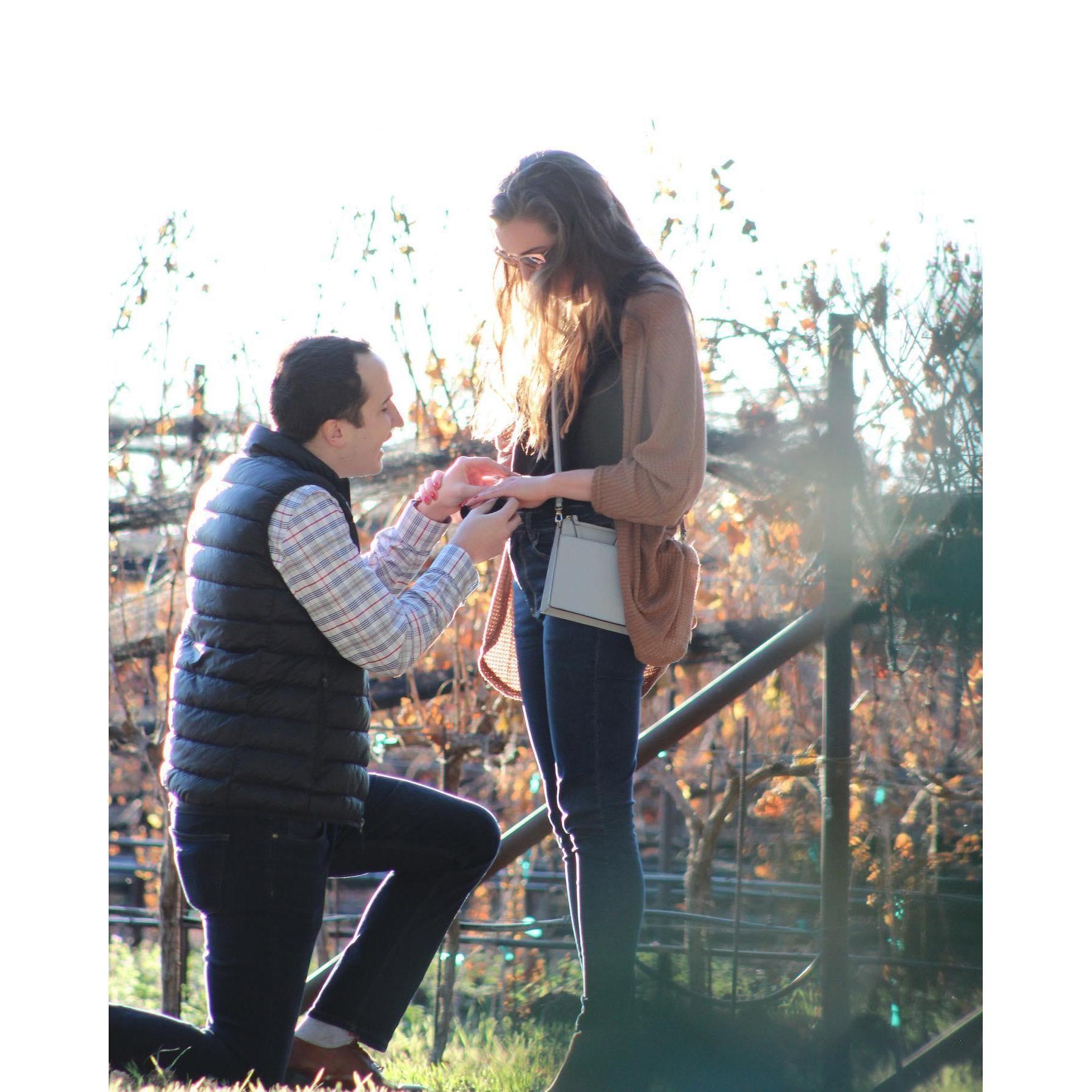 The day Tyler proposed! 2019