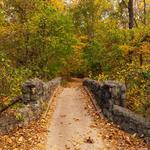 Overton Park