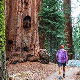 Muir Woods National Monument