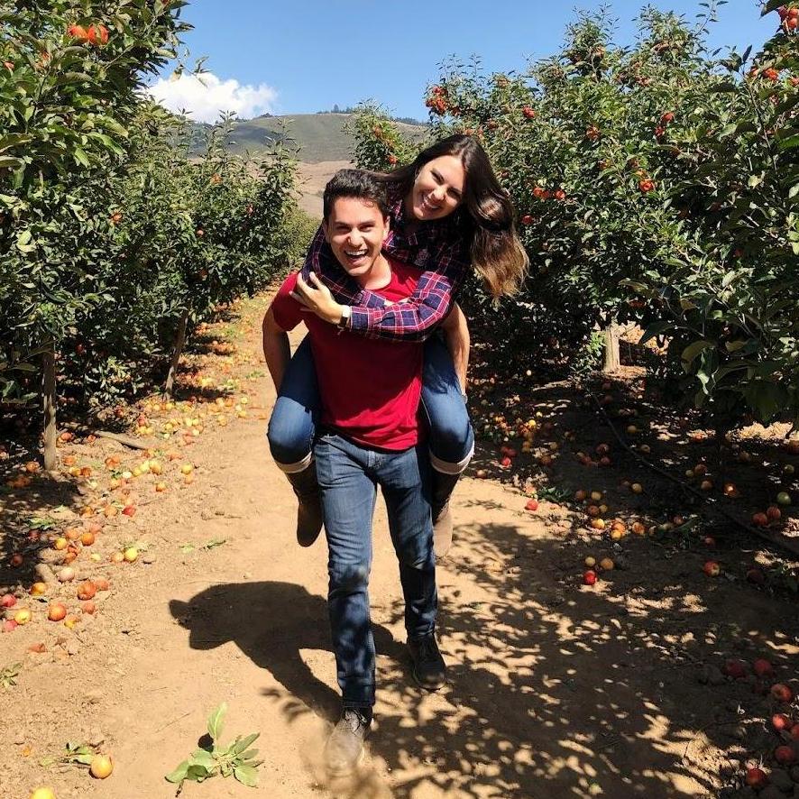 Apple Picking
2019