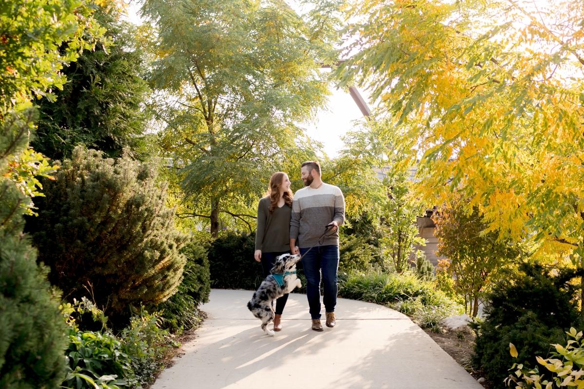 8b43fb36-31db-47df-8c6d-4bfaf9f27425