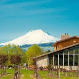Mt. Hood Winery