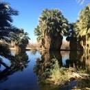 Holtville Hot Springs