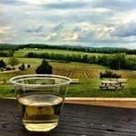 Arrington Vineyards
