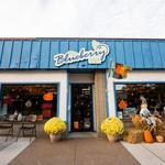 The Blueberry Store