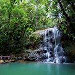 Colo-I-Suva Forest Park