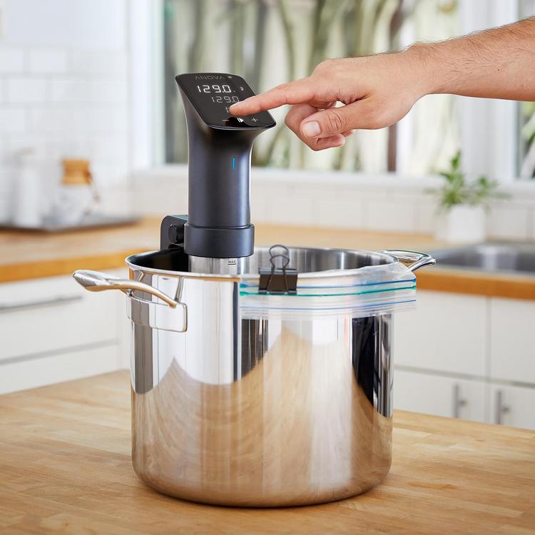 Anova Culinary, Sous Vide Precision Cooker PRO | Zola