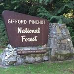 Gifford Pinchot National Forest