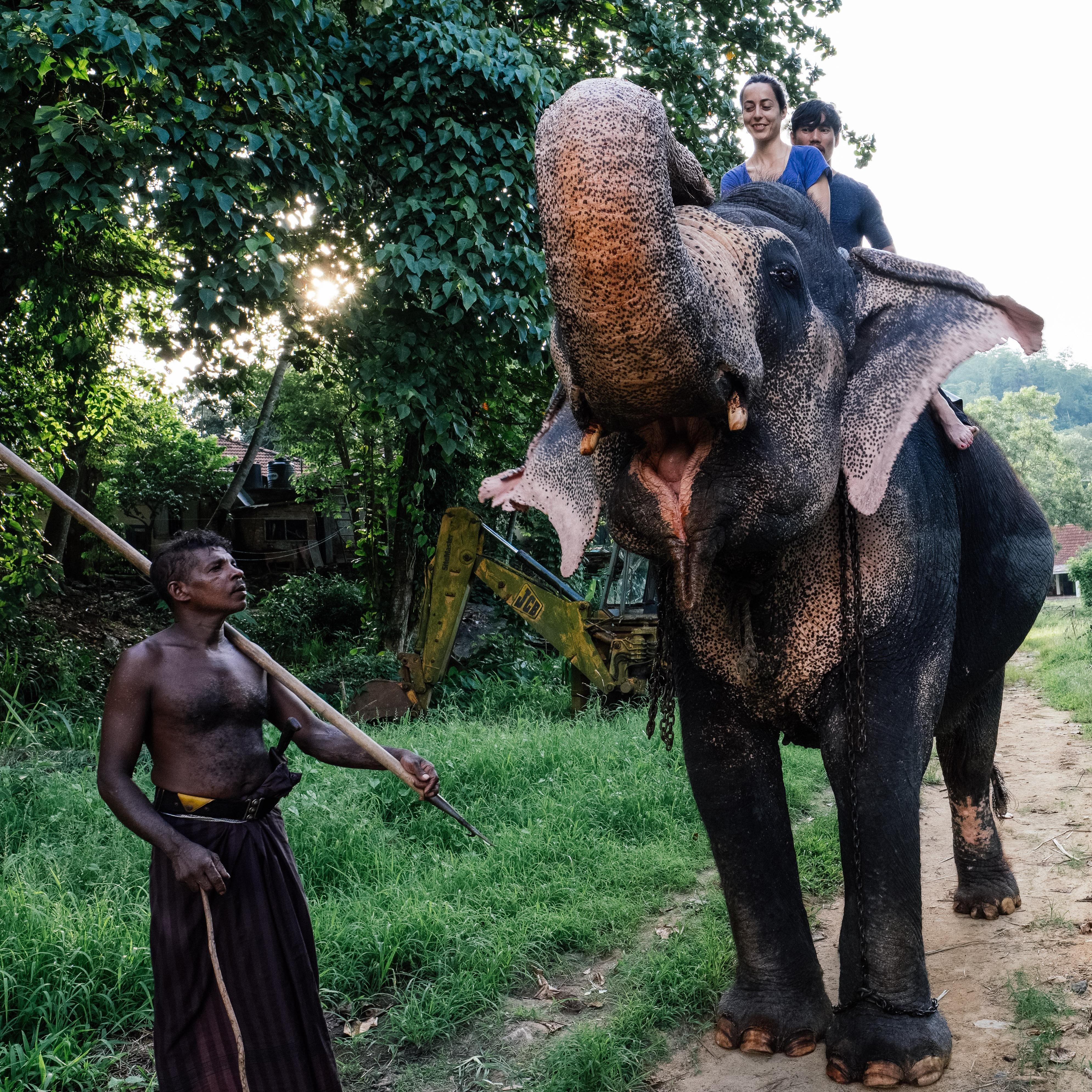 Marta joins Bryan on a tour around the world and meets him in Sri Lanka, a friendly, lush green country famous for its tea. And Marta's first elephant ride!