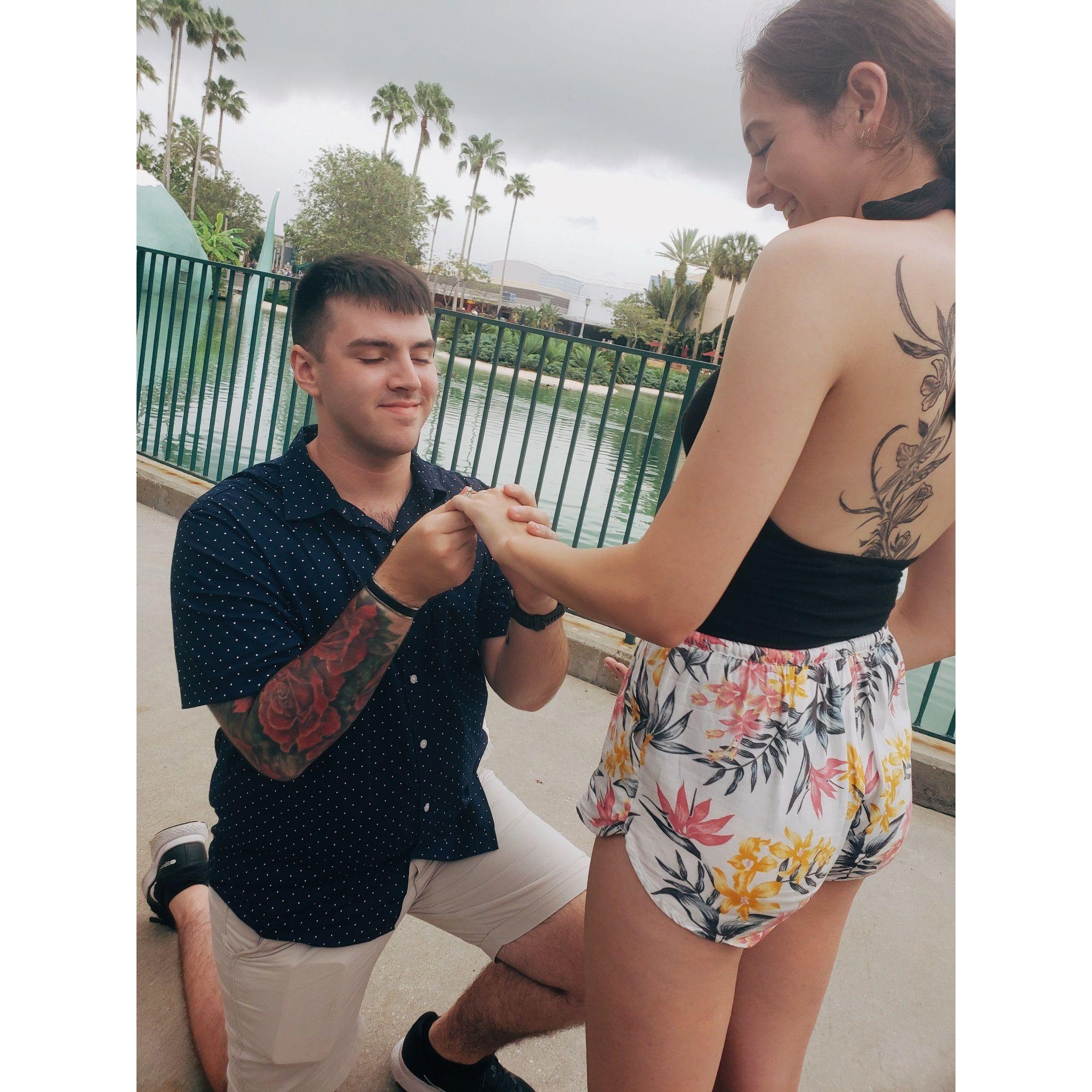 Disney World - Noah's proposal