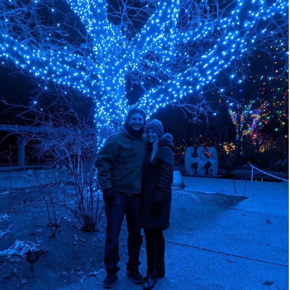 Blossoms of Light - December 2020