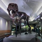 Museum Campus