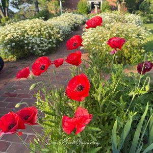 Landscaping fund
