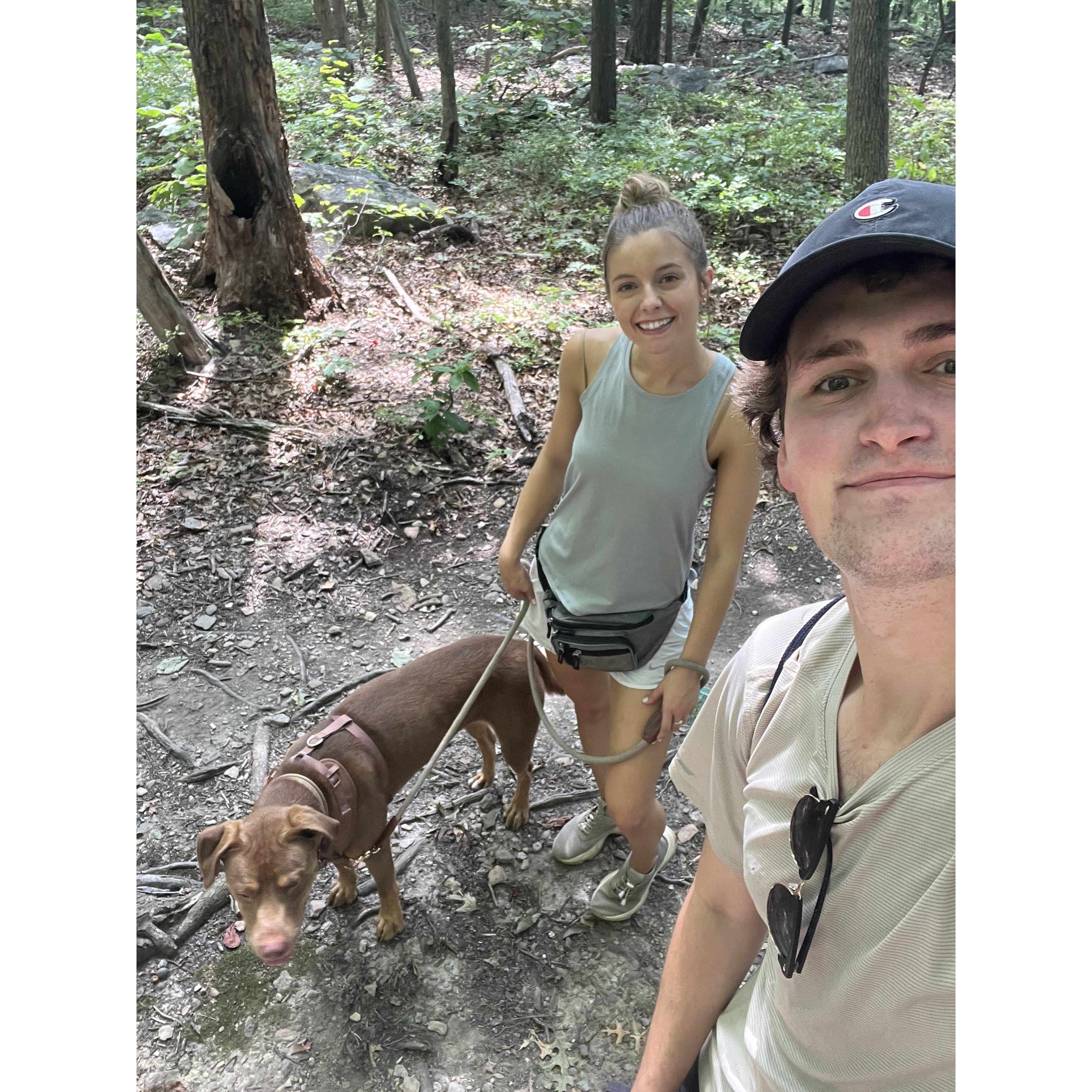 Hiking, Blue Ridge Mountains.