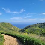 Local Hikes