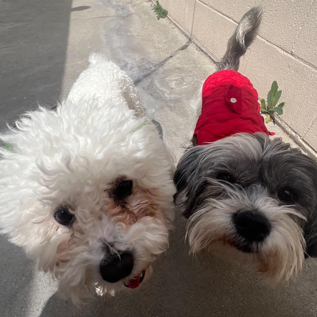 Coco & Maraca