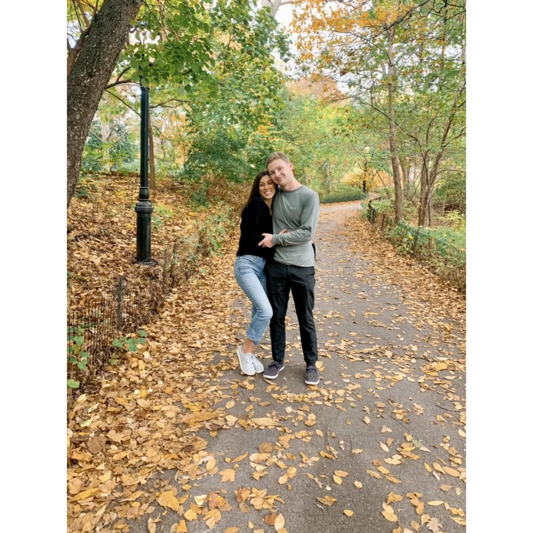 Fall in the UWS