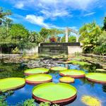 Naples Botanical Garden