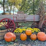 Cedar Hill Farm, The Barn.