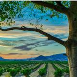 Edna Valley, California